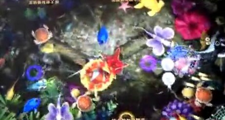 10000炮金龙鱼